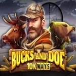 Bucks and Doe 10K Ways