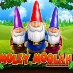 Moley Moolah